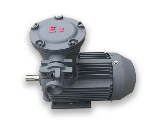 Explosion Proof Motors