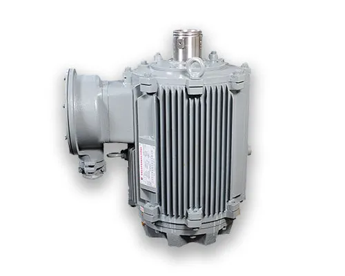 Permanent Magnet Motors