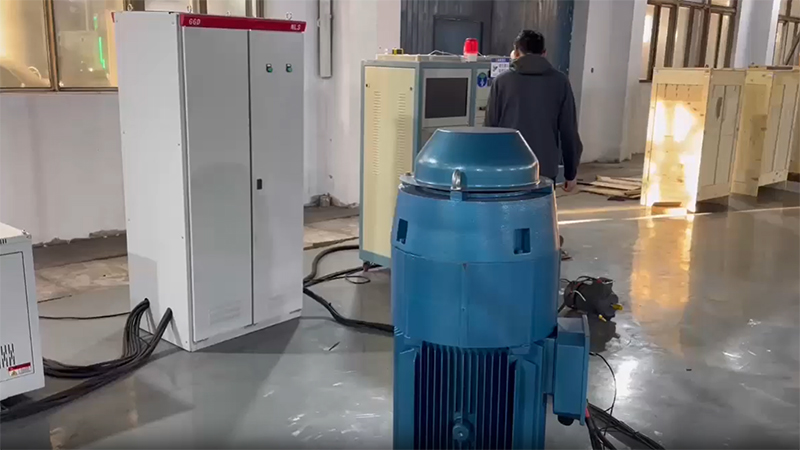 Vertical Hollow Shaft Motors (VHS Motors)