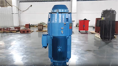 IEC Standard VHS Motor