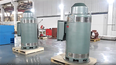 NEMA Standard VHS Motor