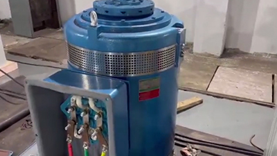 Steel Ball Type Anti-reverse Mechanism