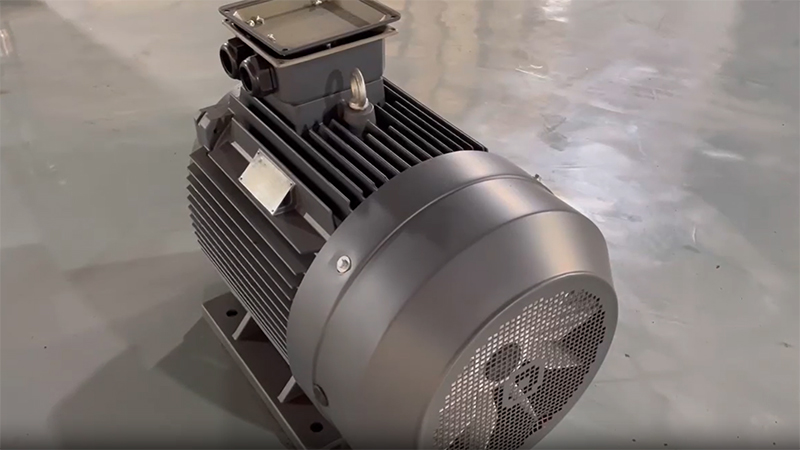 IE4 Three-Phase Induction Motor