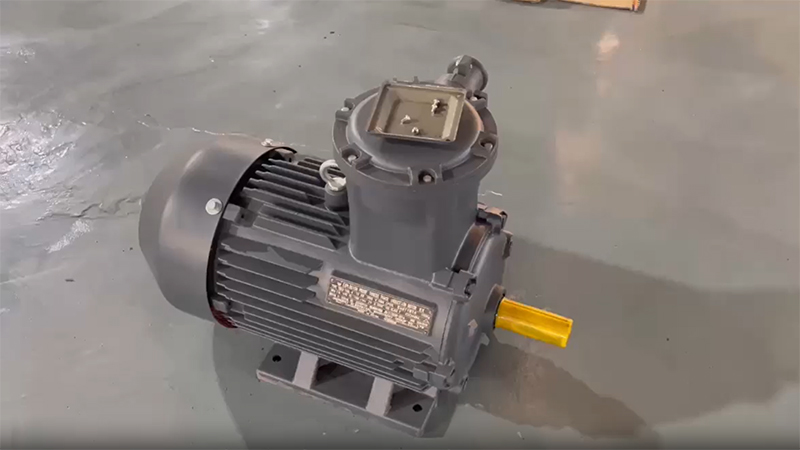 IEC Standard Explosion Proof Motor