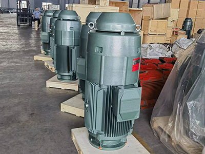 IEC Standard VHS Motor