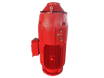 Vertical Fire Pump Motor