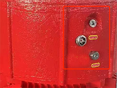 Vertical Fire Pump Motor