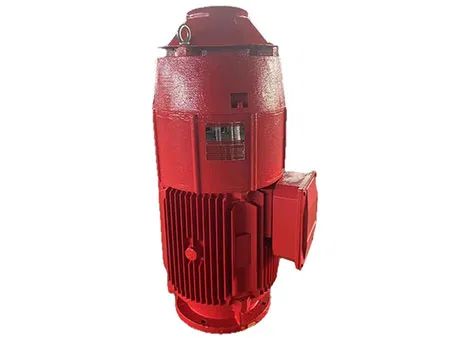 Premium Efficiency VHS Motor