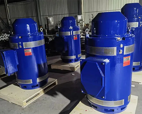 Vertical Water Pump Motor