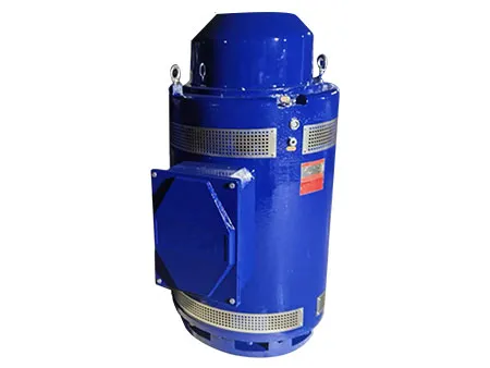 Vertical Water Pump Motor