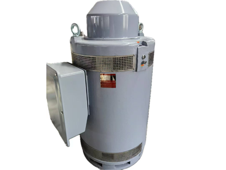 VFD Compatible Deep Well Pump Motor