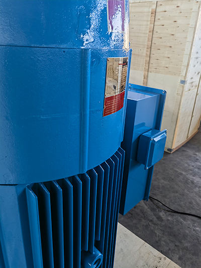 VFD Compatible Deep Well Pump Motor