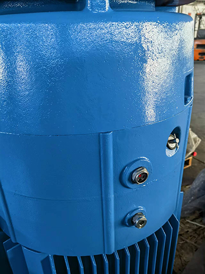 VFD Compatible Deep Well Pump Motor