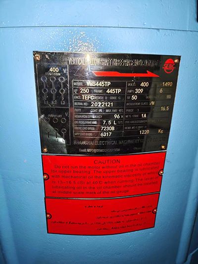 VFD Compatible Deep Well Pump Motor