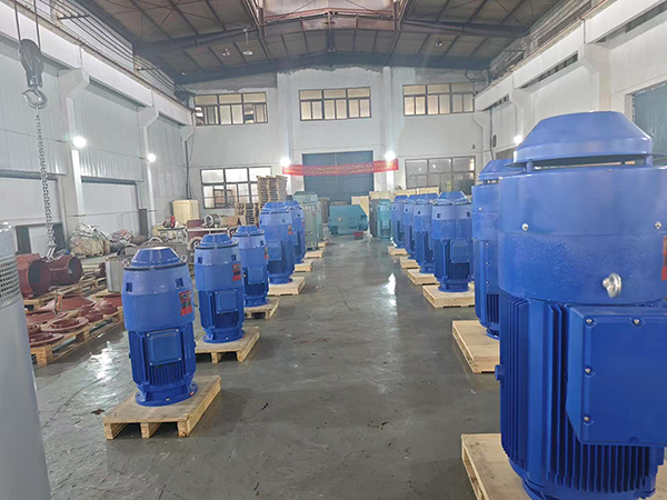 VFD Compatible Deep Well Pump Motor