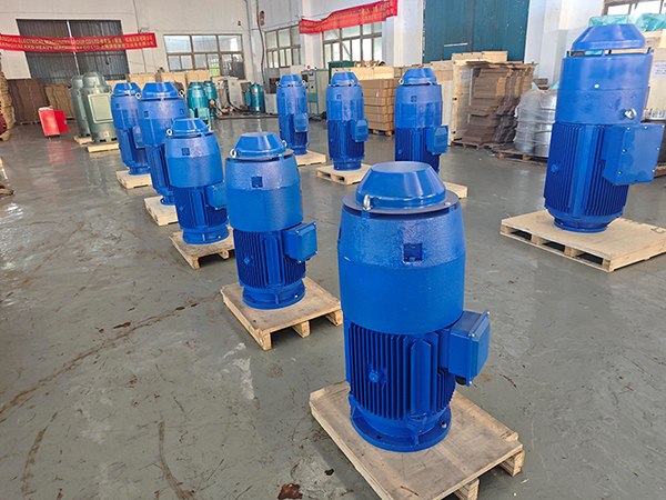VFD Compatible Deep Well Pump Motor