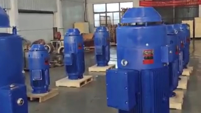 VFD Compatible Deep Well Pump Motor