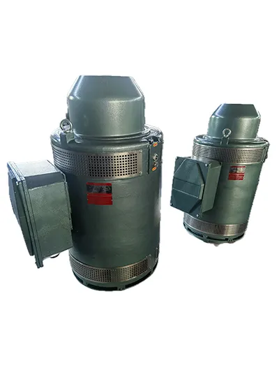 VFD Compatible Deep Well Pump Motor