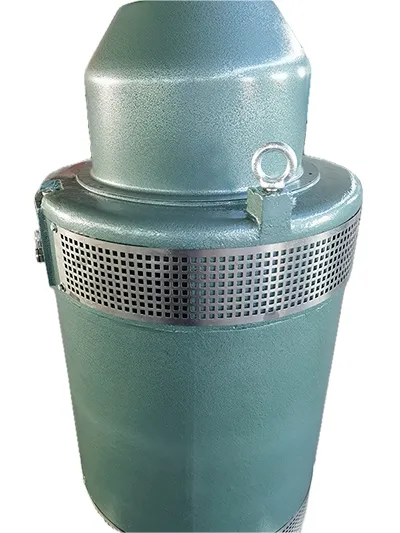 VFD Compatible Deep Well Pump Motor