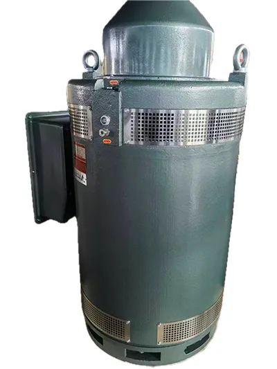 VFD Compatible Deep Well Pump Motor