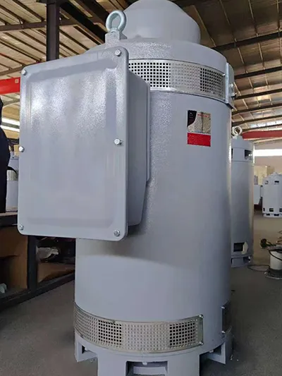 VFD Compatible Deep Well Pump Motor