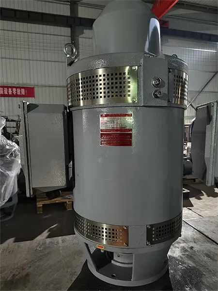 HS250-1-4 Vertical Hollow Shaft Motor (75HP, Three Phase Induction Motor)