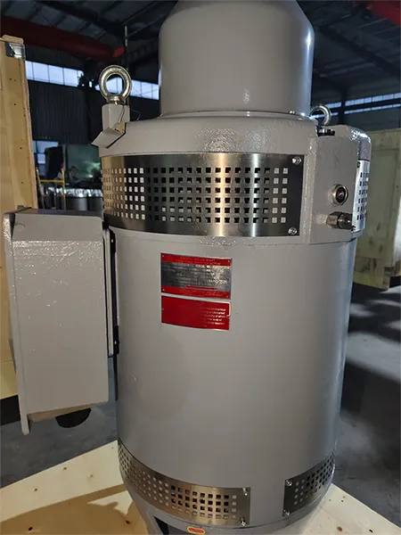 HS250-2-4 Vertical Hollow Shaft Motor (100HP, Three Phase Induction Motor)