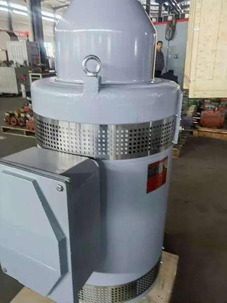 VHS315-4-4 Vertical Hollow Shaft Motor (350HP, Three Phase Induction Motor)