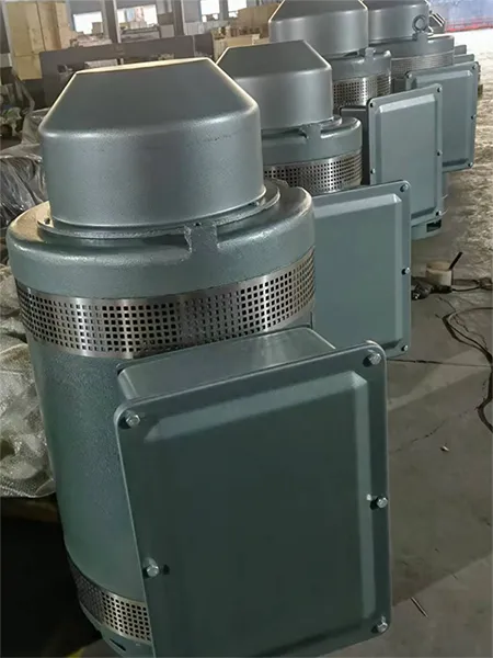 VHS355-1-4 Vertical Hollow Shaft Motor (400HP, Three Phase Induction Motor)