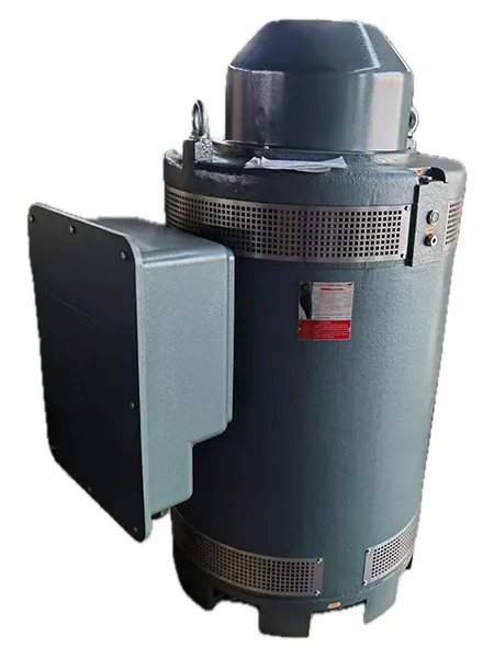 VHS5008TP-4 Vertical Hollow Shaft Motor (500HP, Three Phase Induction Motor)