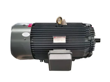 NEMA Premium Efficiency Three-Phase Asynchronous Motor