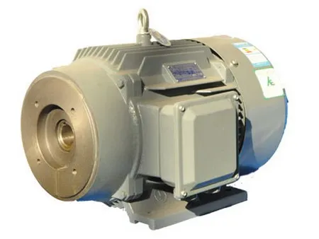 Direct Drive Oil Pump Motor