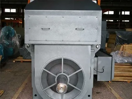 High Voltage Three-Phase Asynchronous Motor