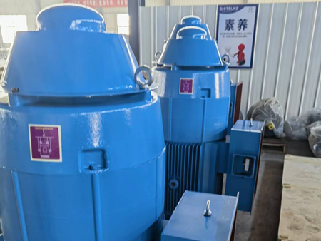 High Voltage Vertical Pump Motor