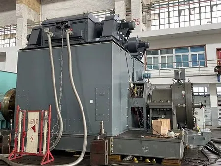 Heavy Duty High Voltage Motor