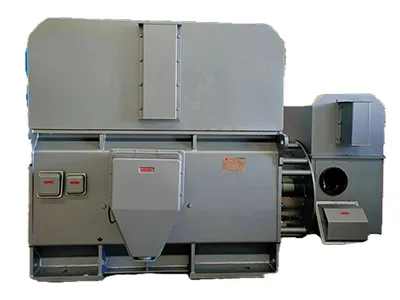 Heavy Duty High Voltage Motor