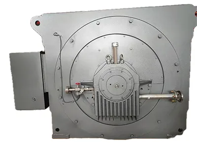 Heavy Duty High Voltage Motor