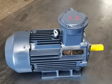 IEC Standard Explosion Proof Motor
