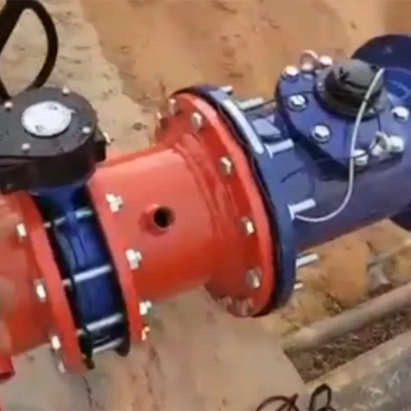 TEFC/IP55 VHS Motor in the Middle East