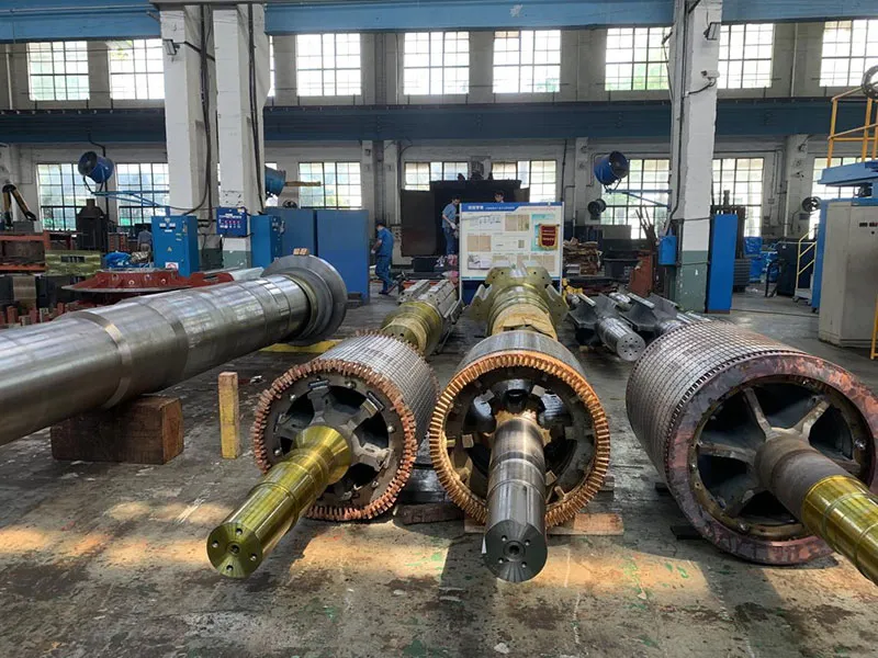 High Voltage Motor Workshop