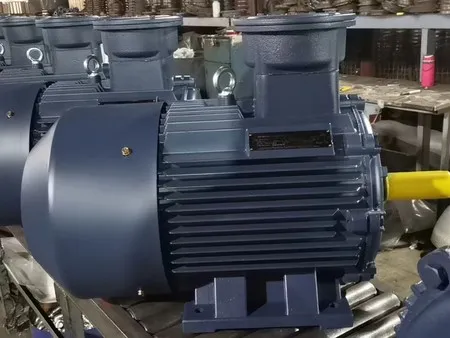 Electric Motor Workshop