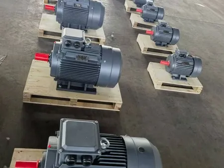 Electric Motor Workshop